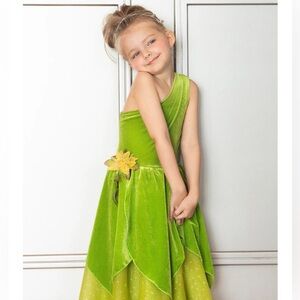 The Frog Princess or Tinker Fairy Costume Dress